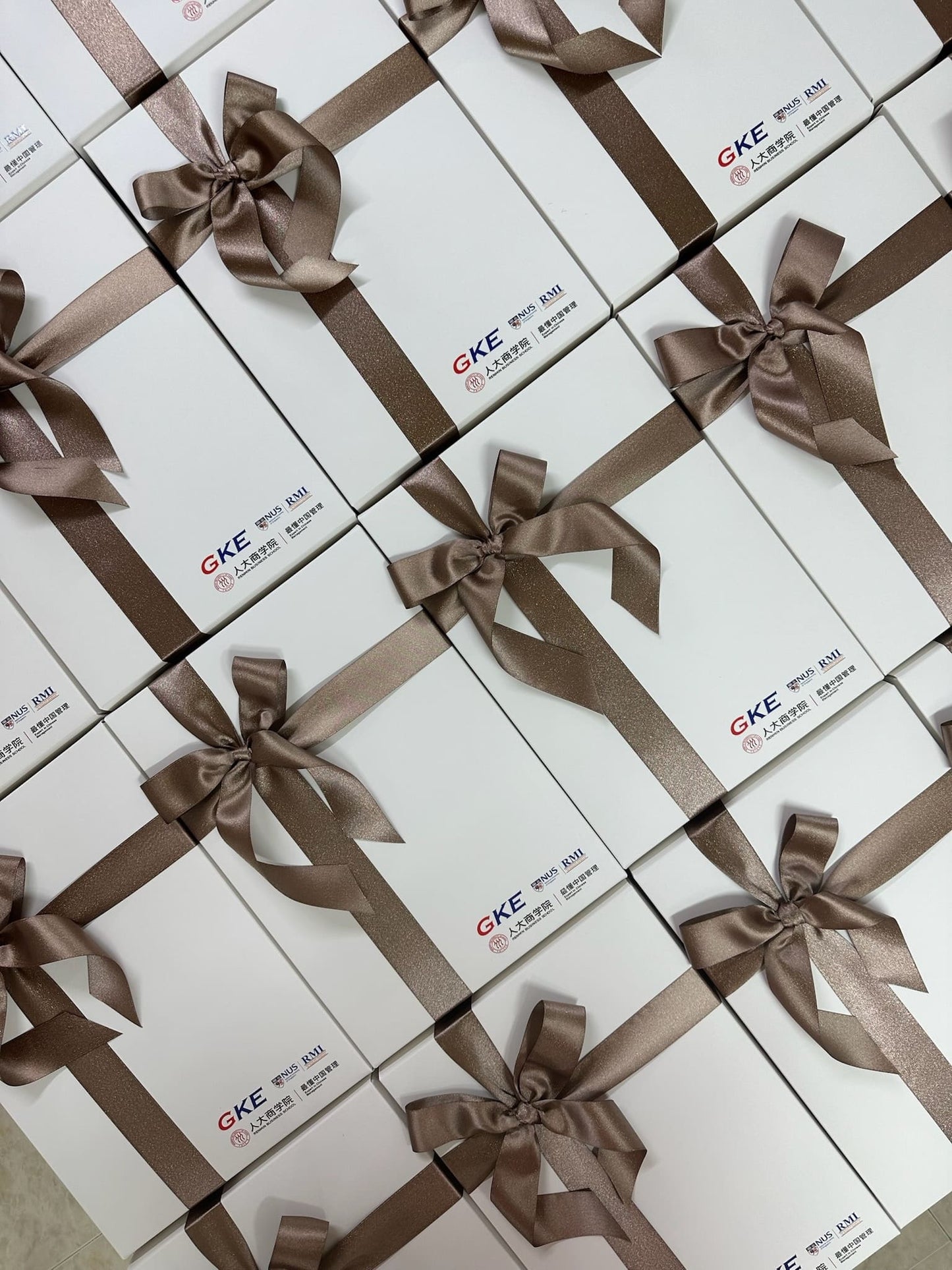 Corporate Giftset | Set 23 - The Chic Habitat
