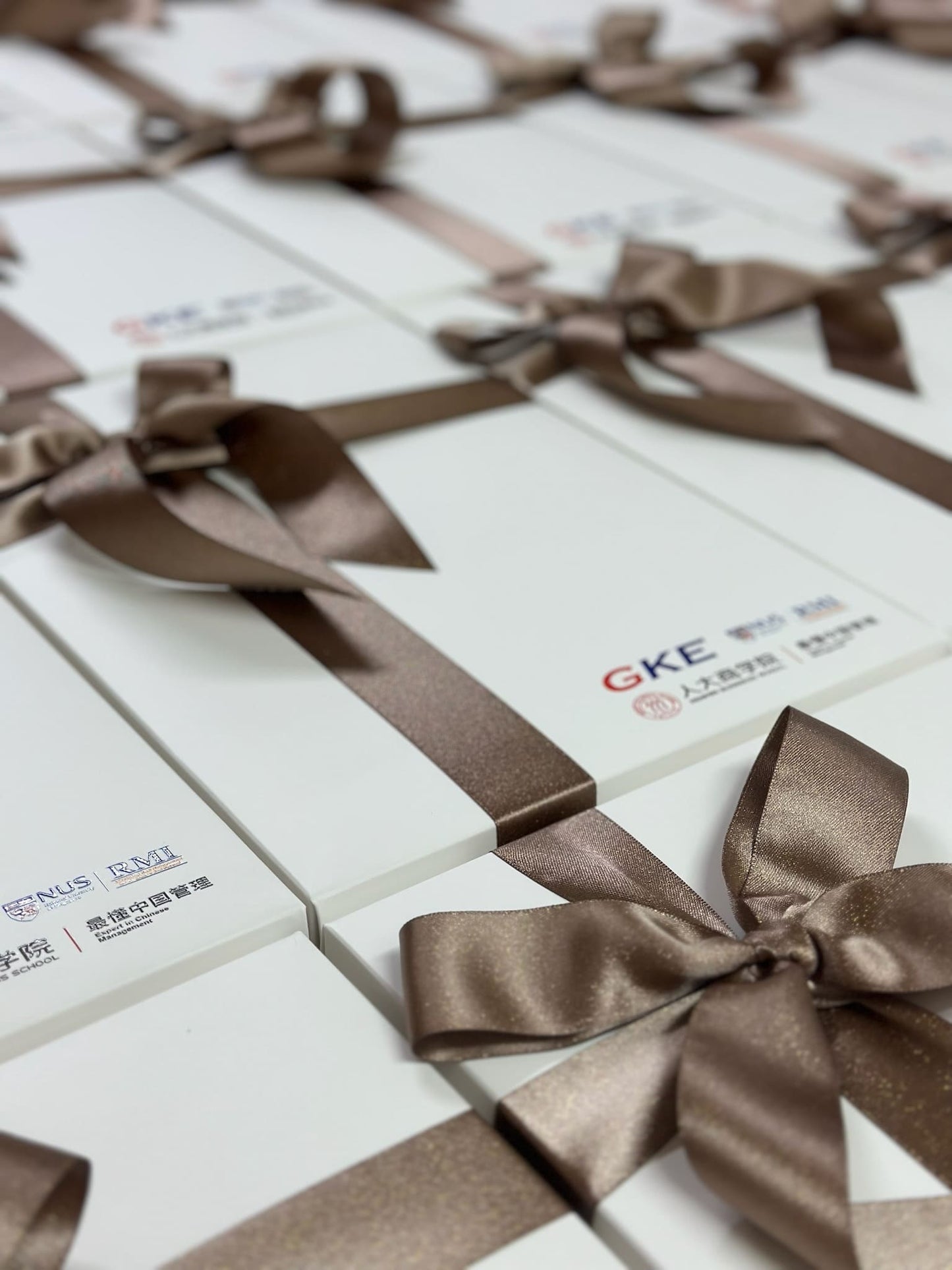 Corporate Giftset | Set 23 - The Chic Habitat