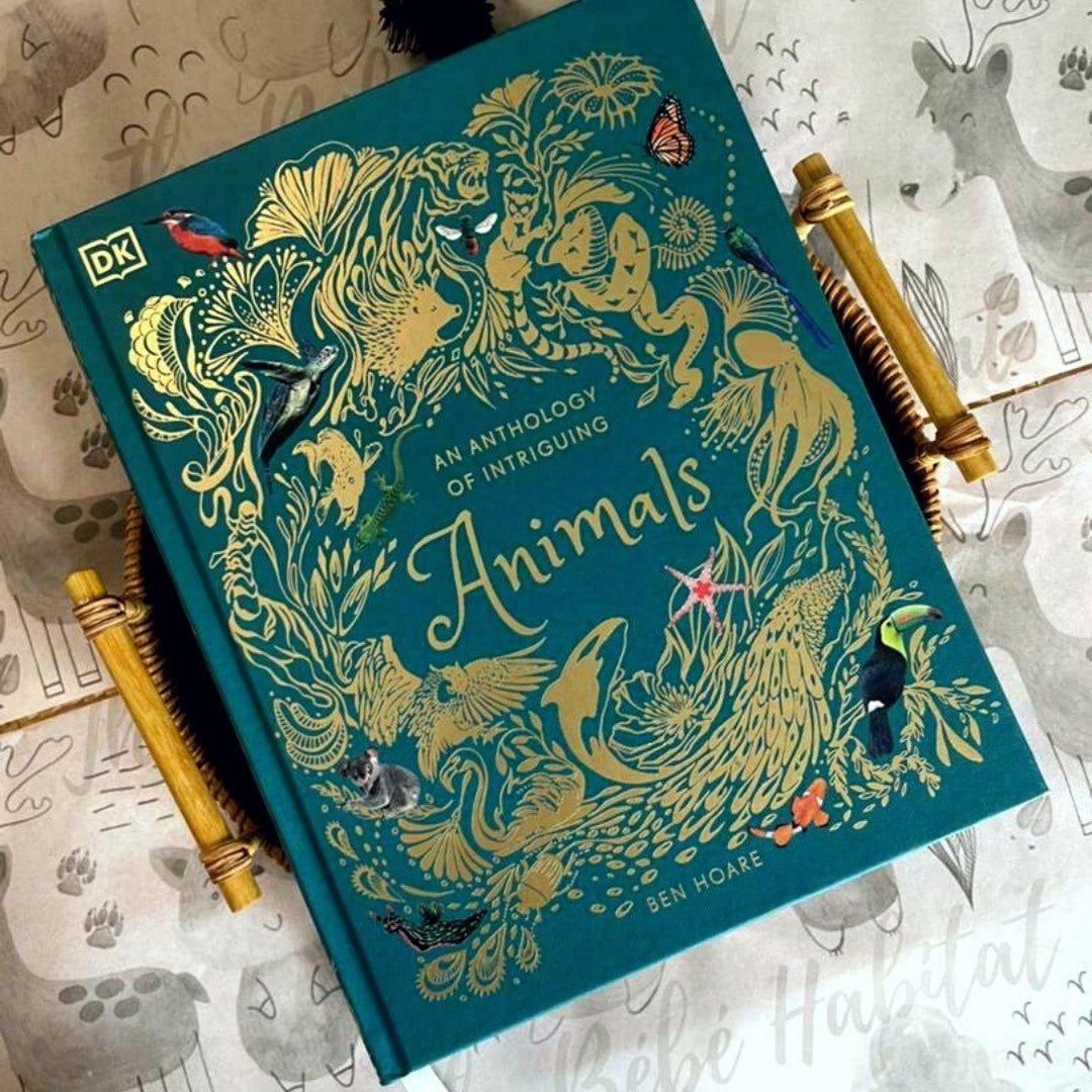 Ben Hoare Series - The Chic Habitat