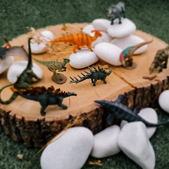 CollectA | Mini Dinosaur Set 1 - The Chic Habitat