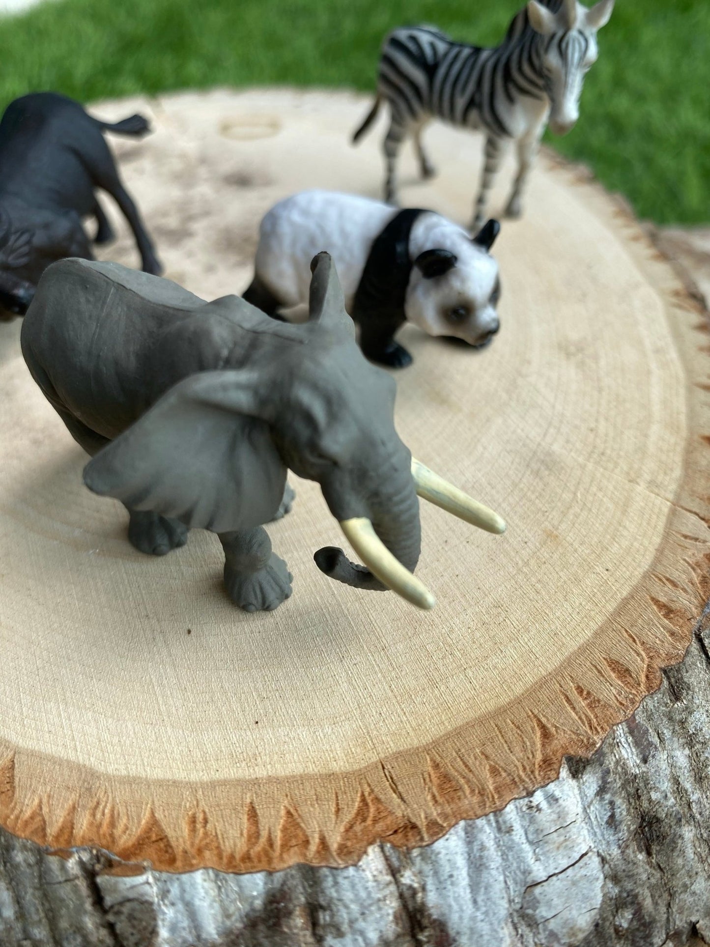 CollectA | Mini Wildlife Set (12 pcs) - The Chic Habitat