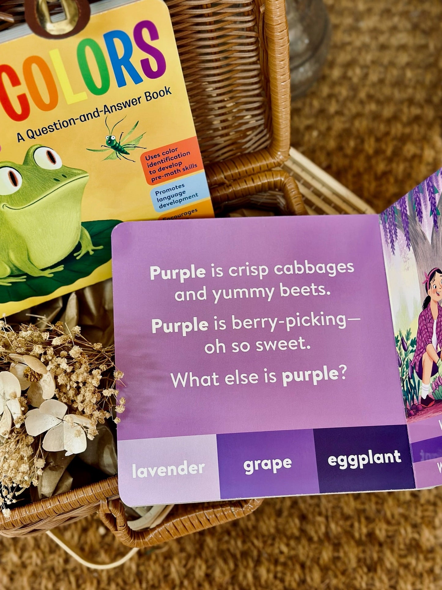 My World Series -- The Chic Habitat