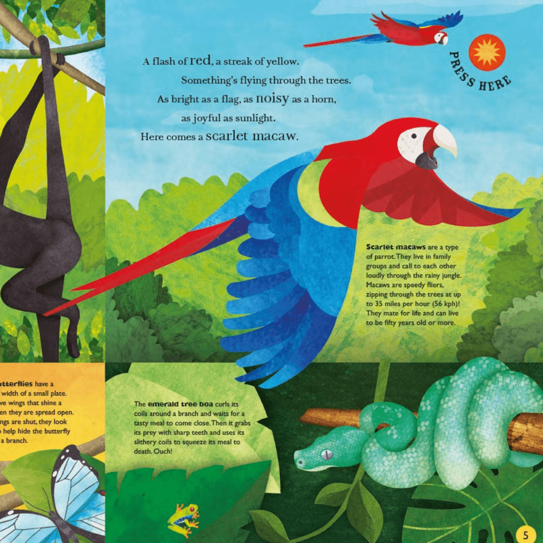 Sounds of The Skies - The Chic Habitat