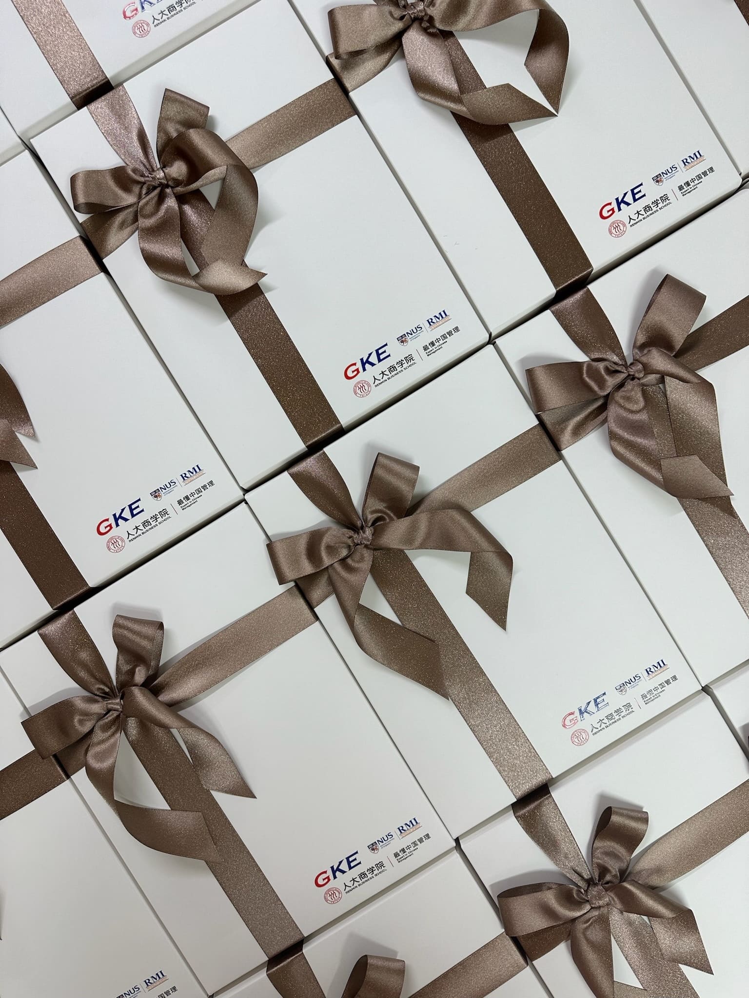 Corporate Giftset | Set 23 - The Chic Habitat