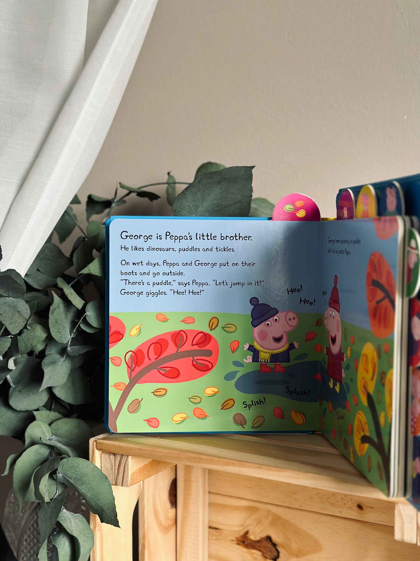 Peppa Pig Books Series