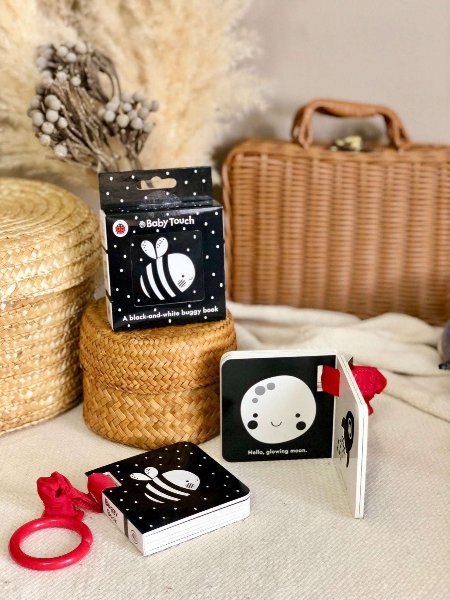 Baby Touch Series - The Chic Habitat