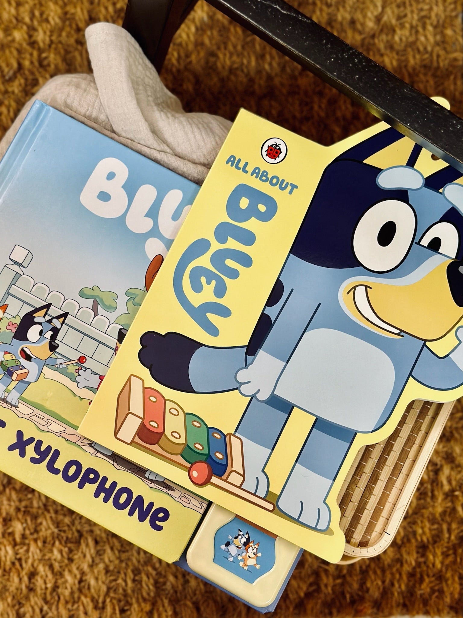 Bluey Books Series -- The Chic Habitat