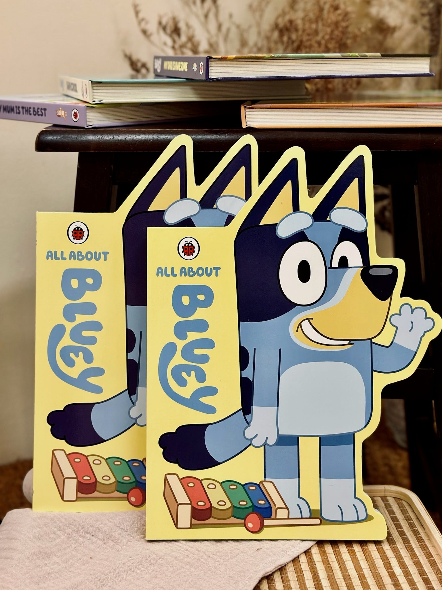 Bluey Books Series -- The Chic Habitat
