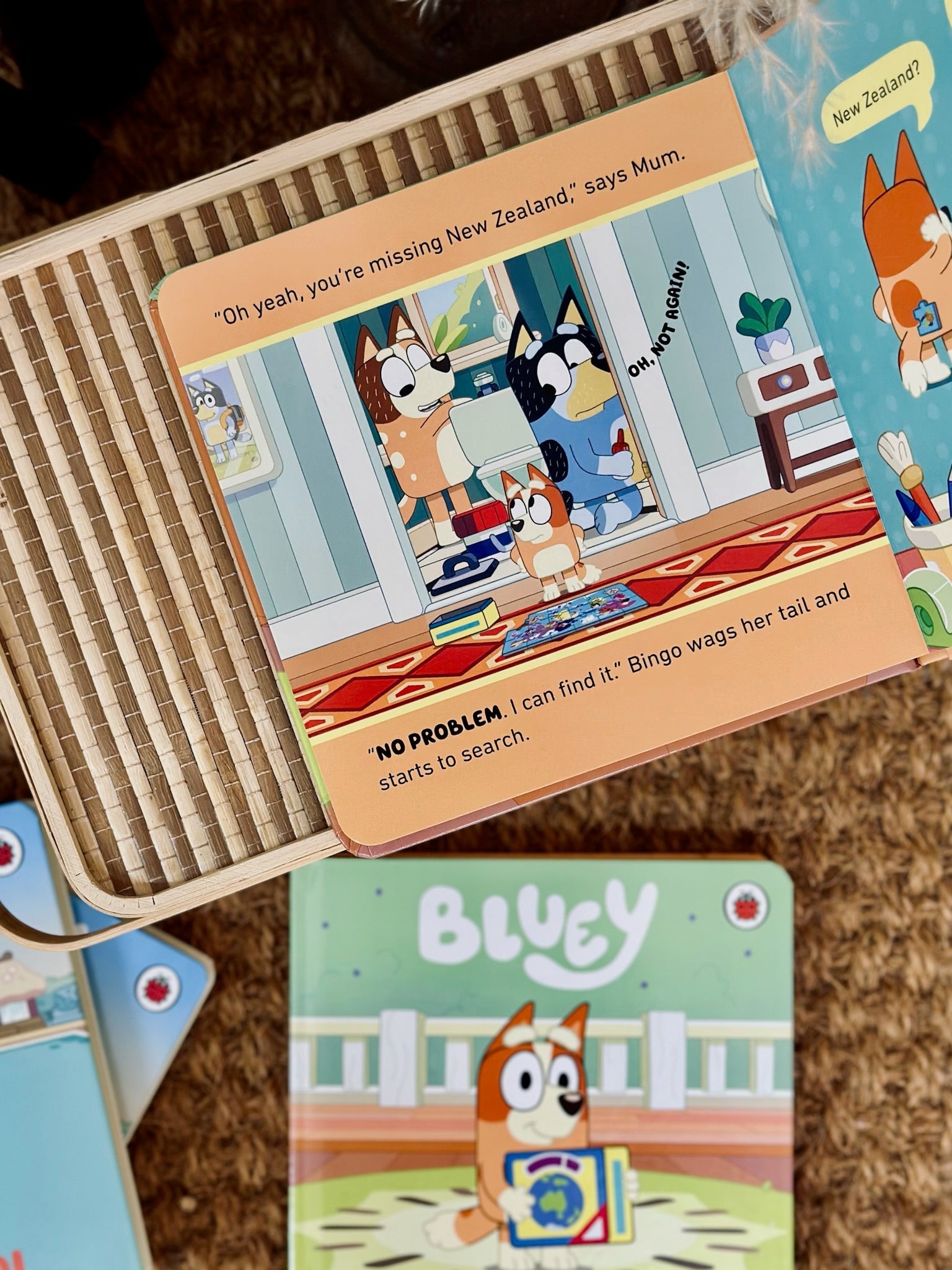 Bluey Books Series -- The Chic Habitat