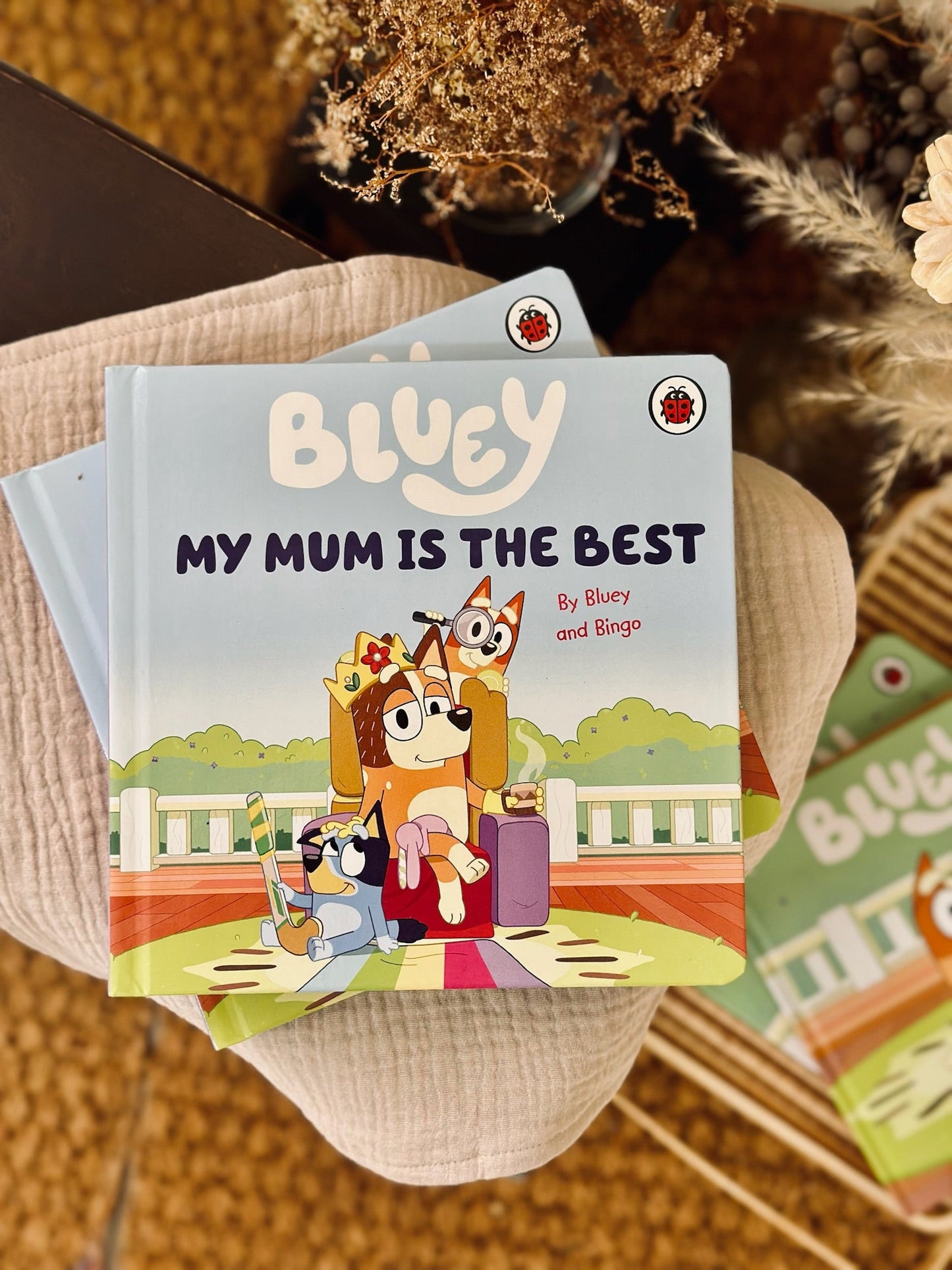 Bluey Books Series -- The Chic Habitat