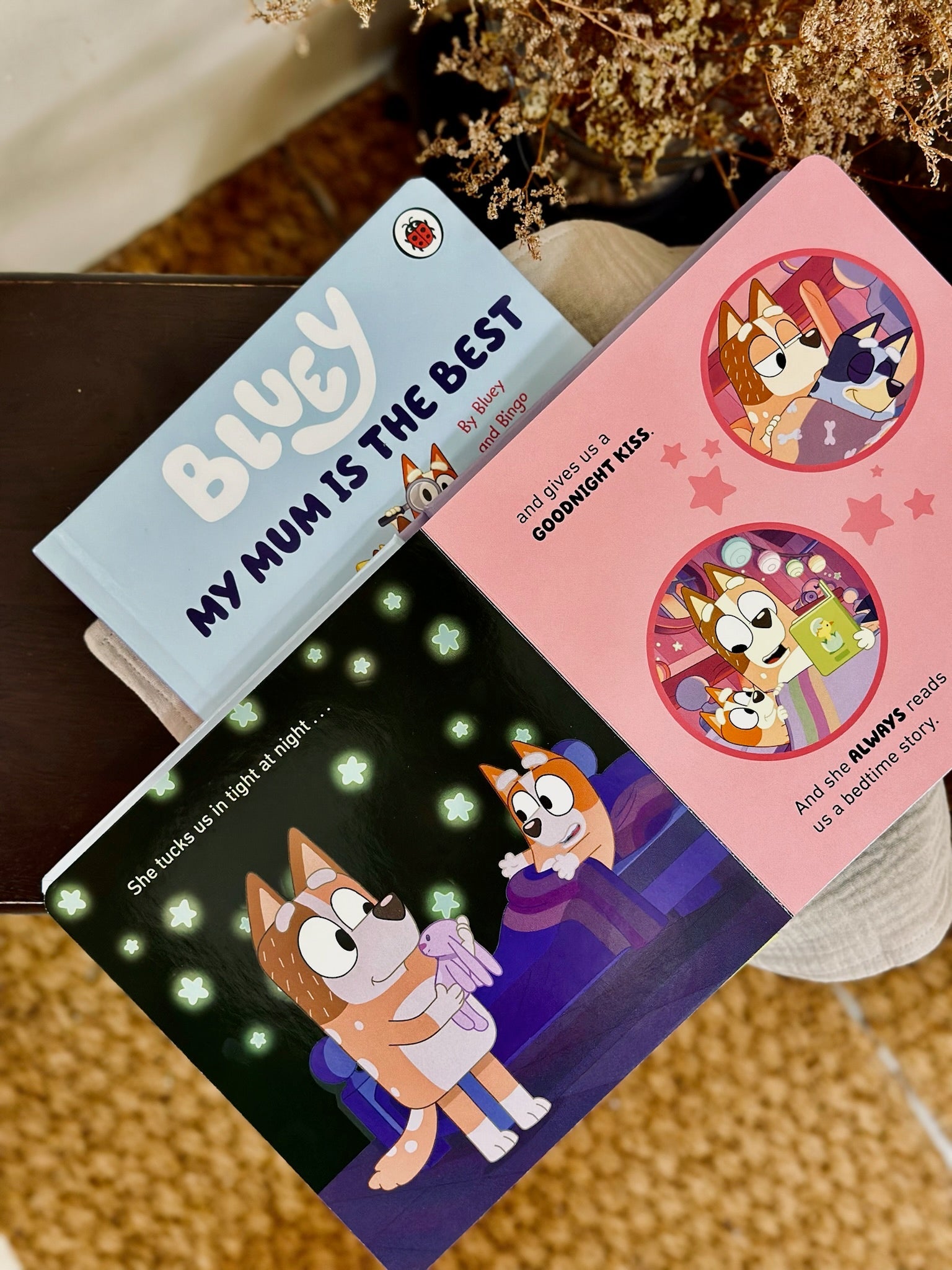 Bluey Books Series -- The Chic Habitat