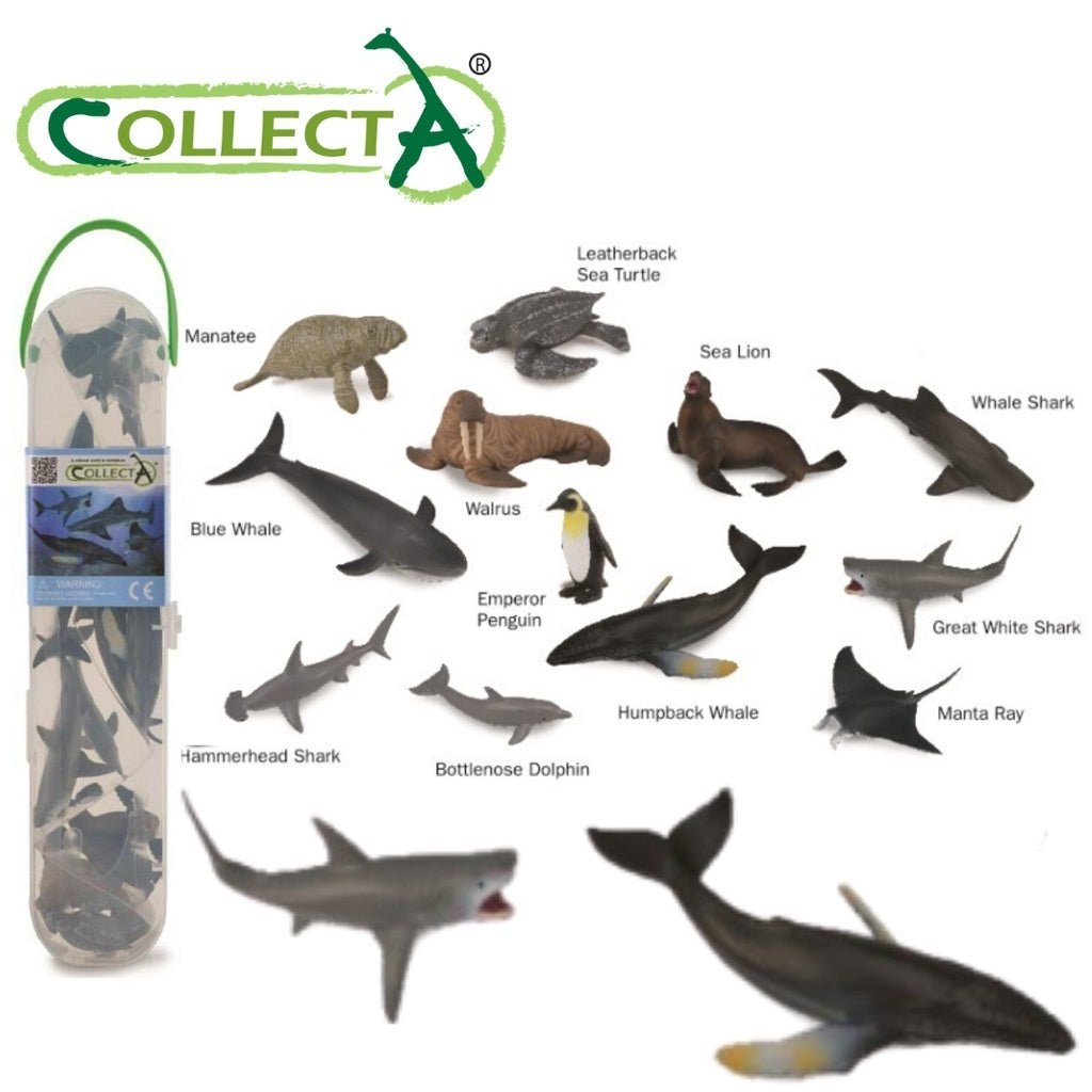 CollectA | Mini Sea Life Set I (12pcs) - The Chic Habitat