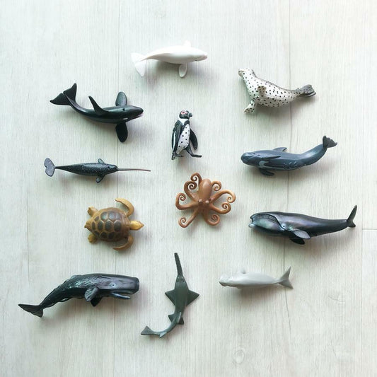 CollectA | Mini Sea Life Set II (12pcs) - The Chic Habitat
