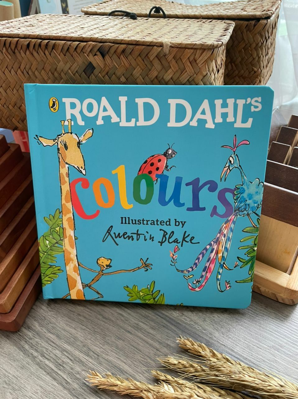 Roald Dahl Books - The Chic Habitat