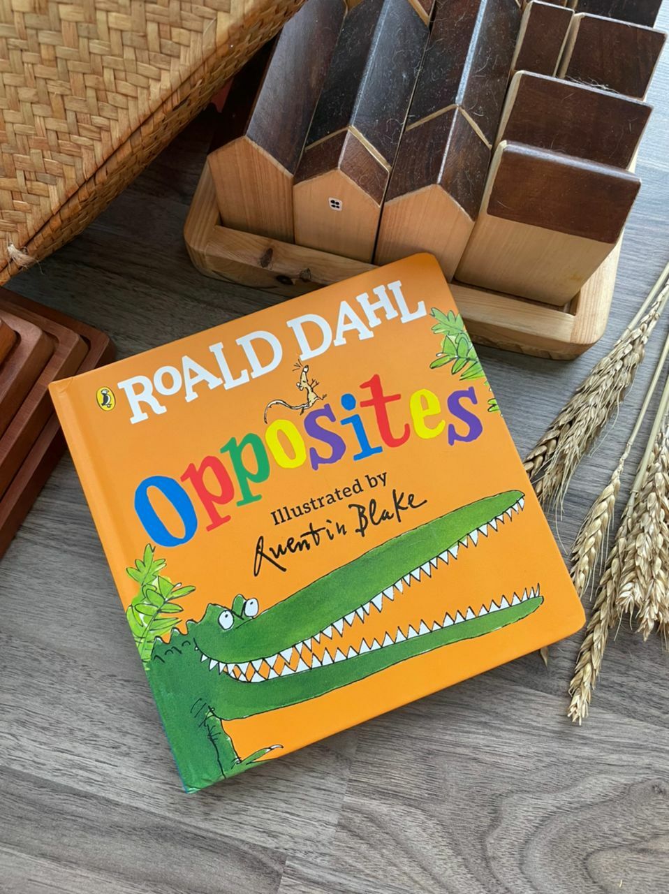 Roald Dahl Books - The Chic Habitat